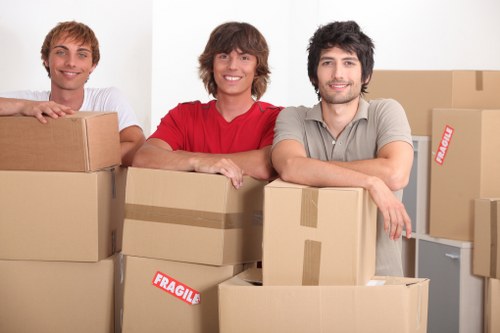 Safe loading and handling during a man with van move