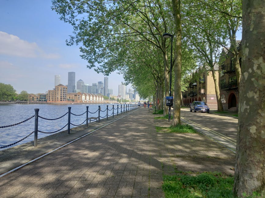 A paved walkway runs alongside a river under a row of tall, leafy trees casting dappled shadows on the ground. On the right side, there are residential buildings with small balconies, and a silver car parked adjacent to the curb. A streetlamp and a blue mailbox are positioned along the walkway, which is lined with a black metal chain fence separating it from the water. In the background, a city skyline with several modern high-rise buildings is visible under a partly cloudy sky. The scene captures a peaceful riverside environment suitable for outdoor walking or home relocation logistics, reflecting the process of packing and moving in an urban location with a scenic view, as might be arranged by Man with Van Surrey Quays during furniture transport or home removals.